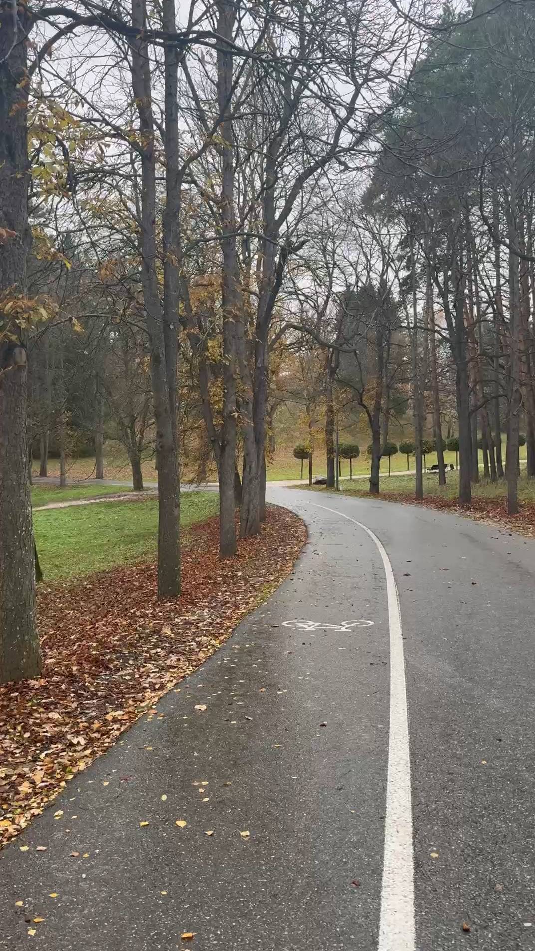 Прогулка в Кисловодском парке под осенним дождем