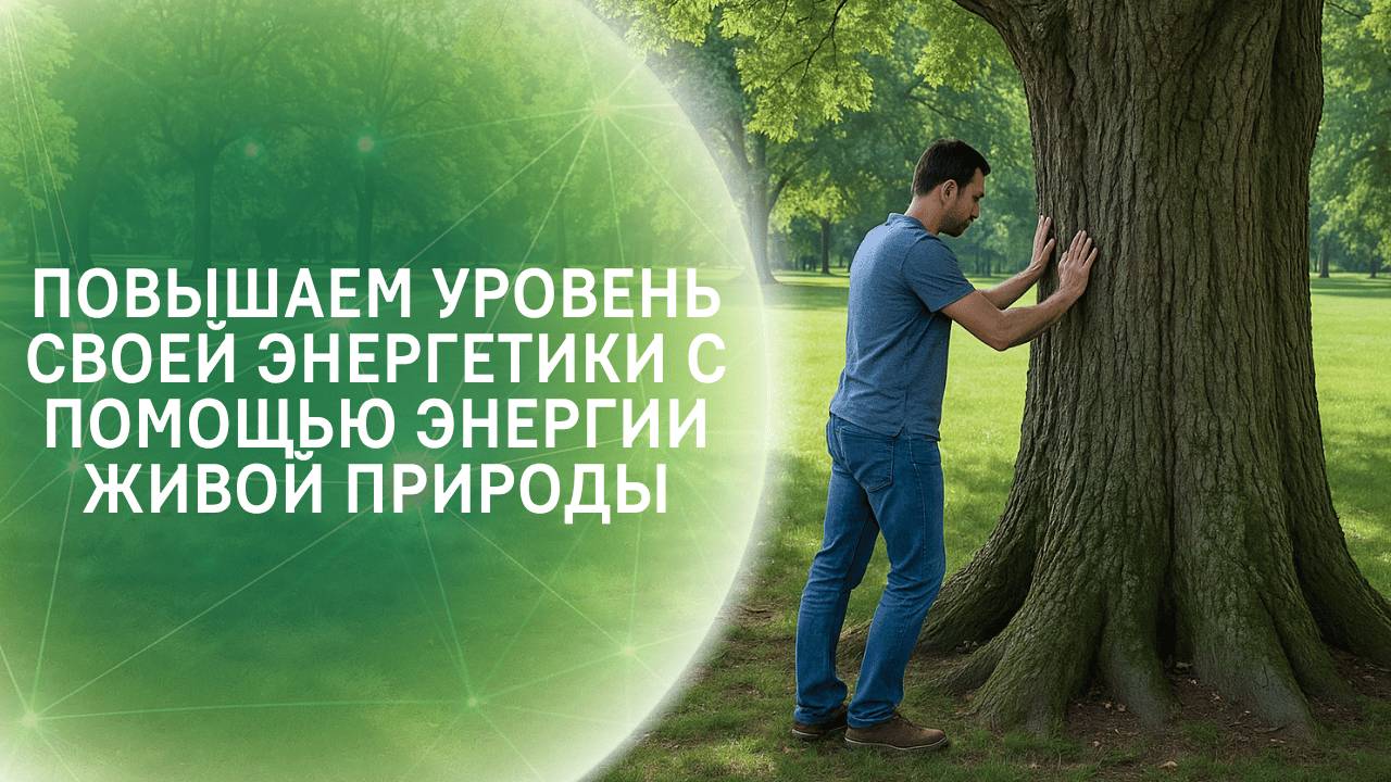 Повышаем уровень своей энергетики с помощью энергии живой природы