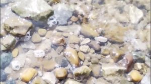 Не пора ли вспомнить лето?😉🌷