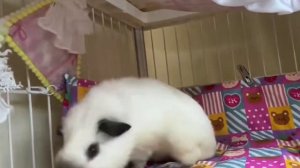 Пинок для ускорения