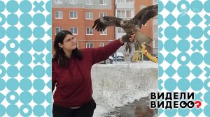 Спасительница птиц. Видели видео? Фрагмент выпуска от 02.11.2025