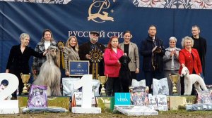 27.09.2025, СПб. Клуб "Русский Стиль" (РКФ, РФСС"). Выставка собак "РУССКИЙ СТИЛЬ-1" (САС, ЧРКФ)