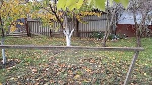 Тёплый день. Работы по саду.