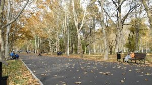 30=10=2025  СОЛНЕЧНЫЙ ОСТРОВ. КРАСНОДАР  (109)