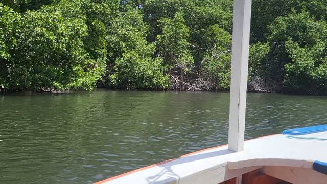 Река Байху 3