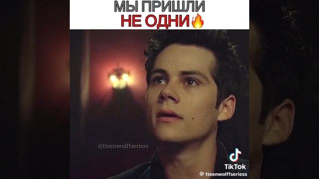 привели альфу