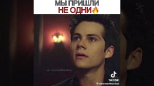 привели альфу