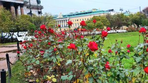 Санкт-Петербург. Осенний город.