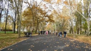 30=10=2025 СОЛНЕЧНЫЙ ОСТРОВ. КРАСНОДАР (114)