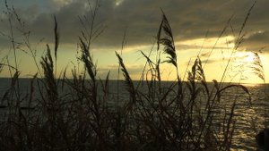 Первое ноября в городе-курорте Сочи.