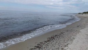 На Куршской косе!