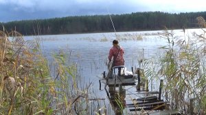 Рыбалка на поплавок на озере поздней осенью с старого рыболовного настила, рыба есть!