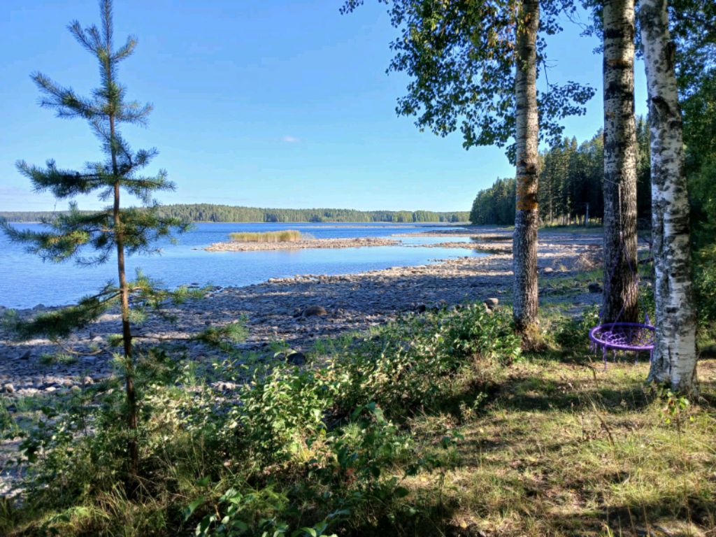 потерялись в лесу СТРИМ!