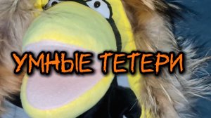 Умные тетери с вороной Асей #дети#стихи#скорость