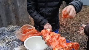 ЕДЕМ В ДЕРЕВНЮ НА ШАШЛЫКИ.