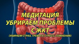 Тетахилинг медитация (трансмедитация) на избавление от проблем с ЖКТ