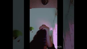 обзор на доктор стреньтя и стирка евоже