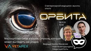 "ОРБИТА" с онколагами Еленой Ляховской, Анастасией Курындиной и их СЕКРЕТНЫМ ГОСТЕМ!