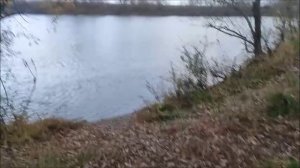 Ловлю на 1 донку на Дону по всем местам, 01.11.2025 год,мкр. Малышево, Воронеж