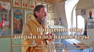 2015_11_01 Прощение обид — добрый плод нашей веры
