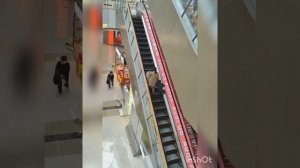 День омлета !😋👍