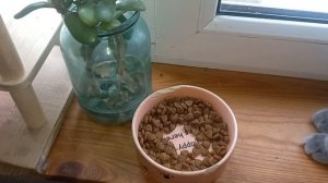 Праздники в городе.