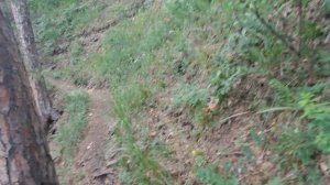 КАМЕНЬ ЕРМАК. КУНГУР.