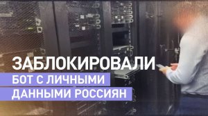МВД пресекло работу Telegram-бота по распространению личных данных россиян