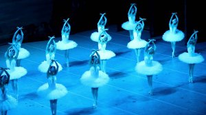 "Лебединое" 01.11.25 (фрагменты)