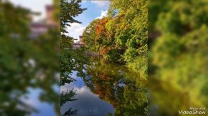 Октябрьский листопад 2025 у Верхнего Озера ( ex. Обертайх)