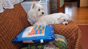 Бедные дети устали смотреть...как родители солят капусту...