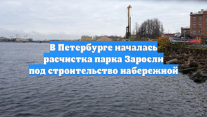 В Петербурге началась расчистка парка Заросли под строительство набережной
