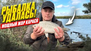 ОСЕННИЙ ЖОР КАРАСЯ НА КУБАНИ! ЛОВЛЮ ТРОФЕЙНОГО КАРАСЯ ОДИН ЗА ОДНИМ!