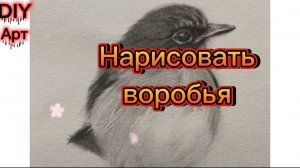 Обучу всех рисовать воробья простым карандашом. DIY Арт