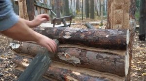 Ватоша Строю лачугу из валежника часть 2