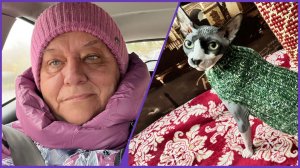 #1-02.11.25 - 🐈НОВАЯ ШУБКА ДЛЯ ТОБИКА 🧶 КУПИЛА ЧТО ХОТЕЛА 😋🌹🌹🌹