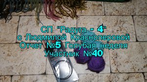 СП "Радуга - 4" с Людмилой Красноперовой. Отчет №5 Голубая неделя. Участник №40