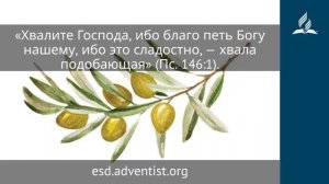 3 ноября 2025. Хвали, душа моя, Господа! Под сенью благодати | Адвентисты