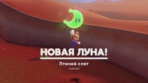 Птичий слёт