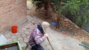 воскресный вольный зоопарк 2ноября