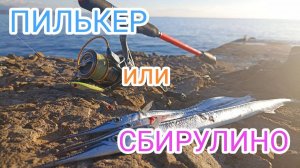 Пилькер или сбирулино? Что лучше? Рыбалка на Саргана, на Чёрном море, Алушта.