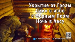 Укрытие от Грозы - Один в избе с Верным Псом – Ночь в Лесу
