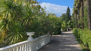 Парк Южные Культуры, Адлер, Сочи (ноябрь 2025)