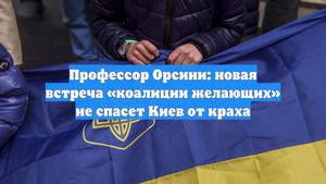 Профессор Орсини: новая встреча «коалиции желающих» не спасет Киев от краха