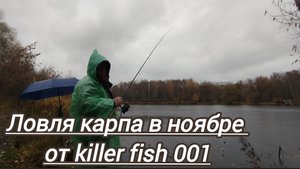 ФИДЕР РЫБАЛКА В НОЯБРЕ ЛОВЛЯ КАРПА ПЛОТВЫ