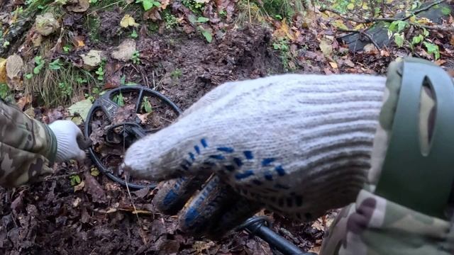 Поисковая разведка 11.10.2025 Белевский район.