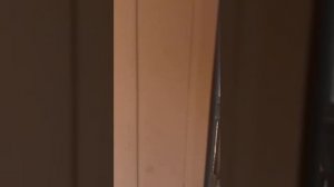 Квартира в Туле, район Центральный