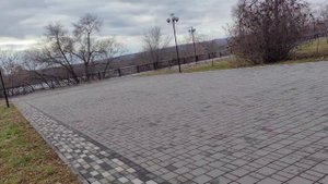 Бородатый Бег от 2 ноября.