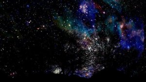 DUIKO- Мантра Мира для семьи и всего мира