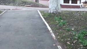 У Церкви стояла карета..... НЕВЕСТА ВСЕХ КРАШЕ. БЫЛА.